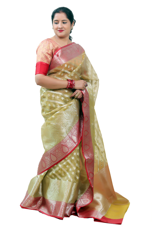 Organza Silk Saree for Women – Designer & Festive Saree | Rangraga